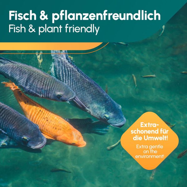 Teichpflege & Brunnenreiniger - Image 3